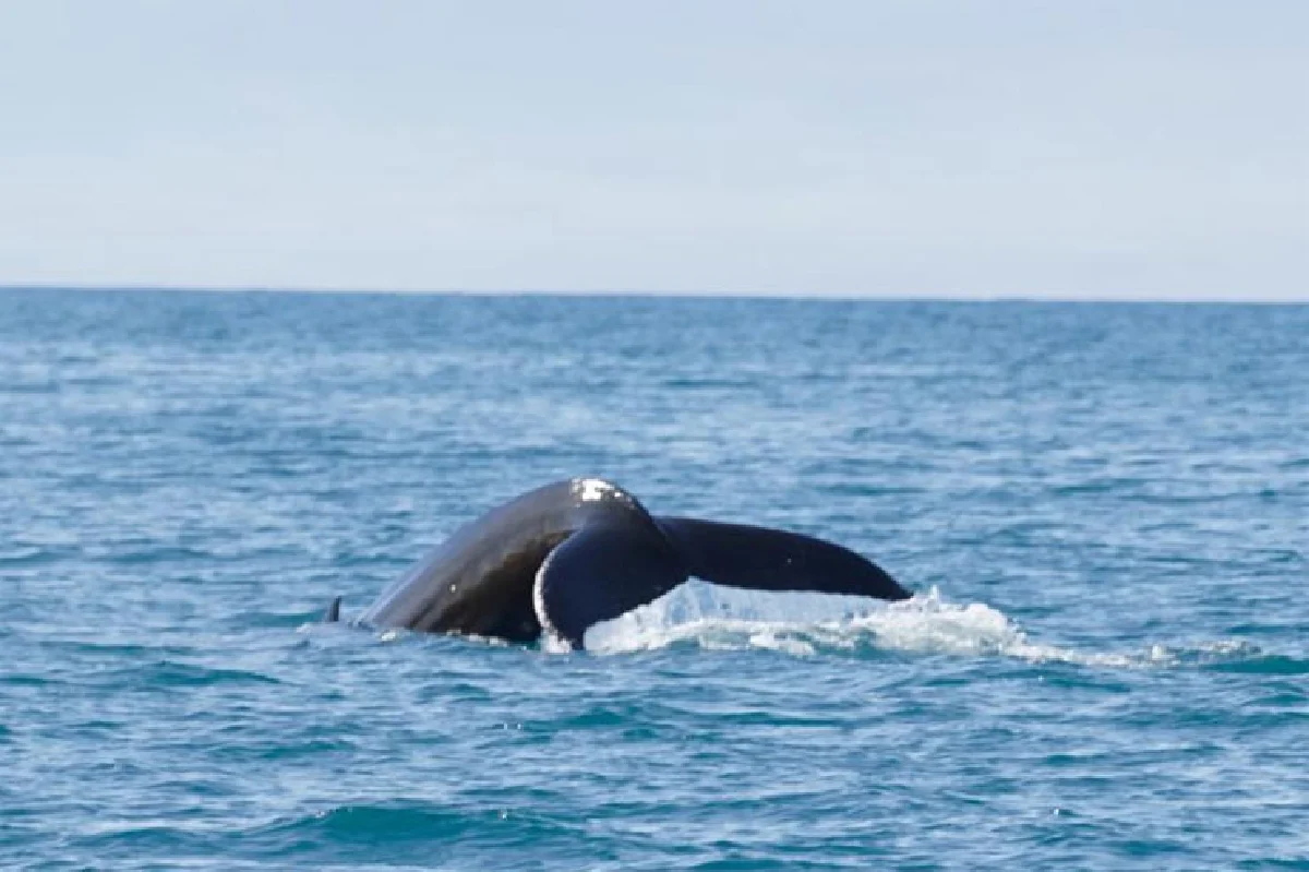 เที่ยวจนได้เรื่อง ศิริธร ธำรงนาวาสวัสดิ์