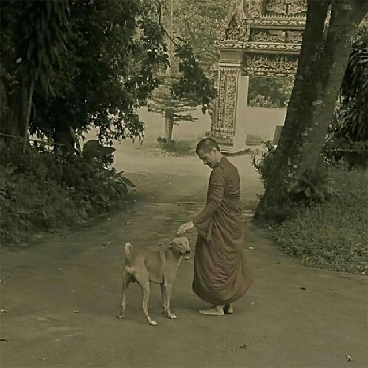 หนุ่มหล่อ ใฝ่ธรรมะ