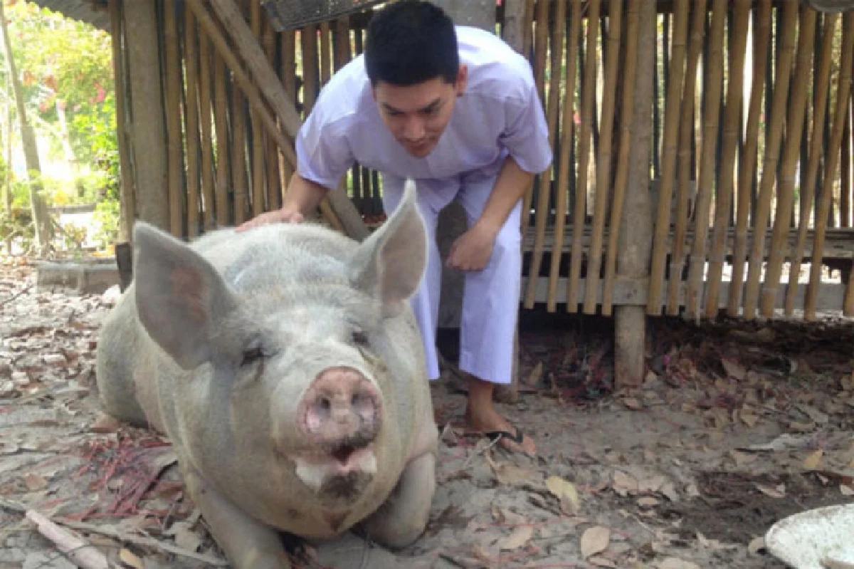 หนุ่มหล่อ ใฝ่ธรรมะ