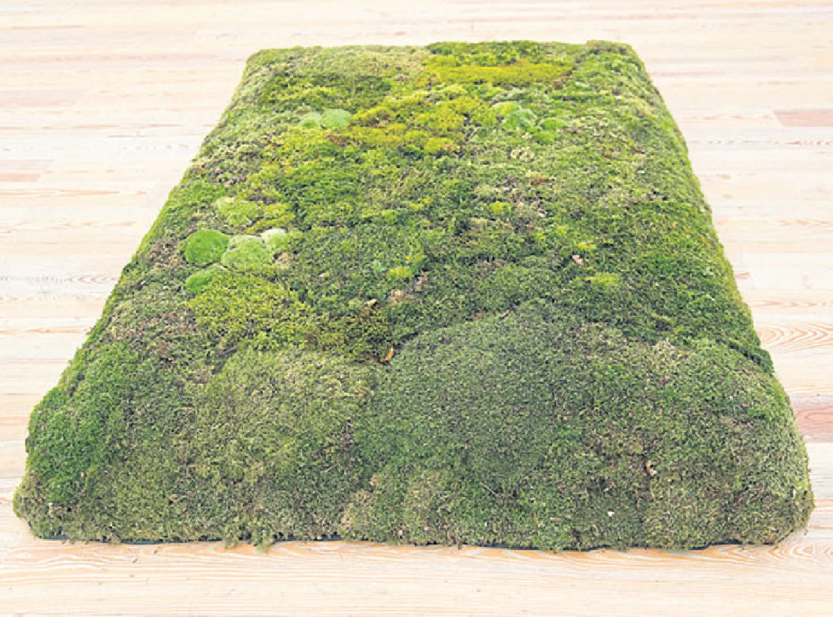 พักร้อนเล็กๆ กับสวนมอส