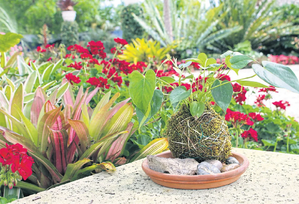 พักร้อนเล็กๆ กับสวนมอส