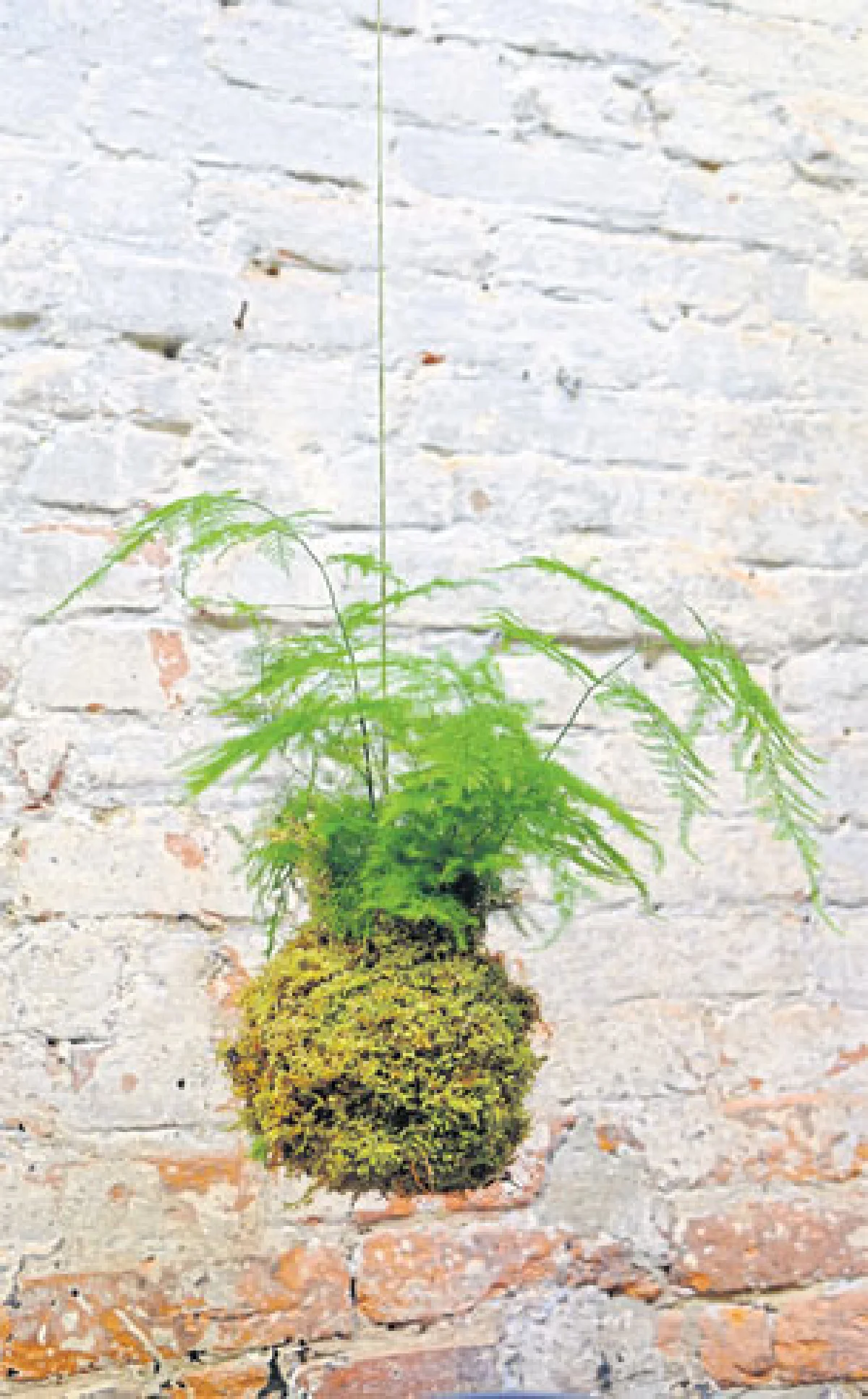 พักร้อนเล็กๆ กับสวนมอส