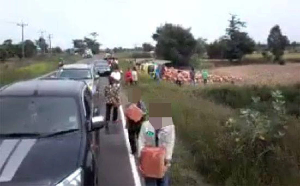 ชำแหละพฤติกรรม"มนุษย์สเปโต"...รถคว่ำ-ฉกของกลับบ้าน