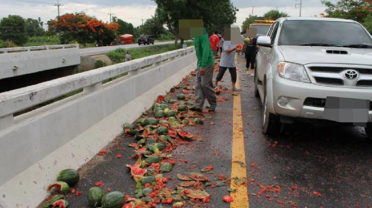 ชำแหละพฤติกรรม"มนุษย์สเปโต"...รถคว่ำ-ฉกของกลับบ้าน
