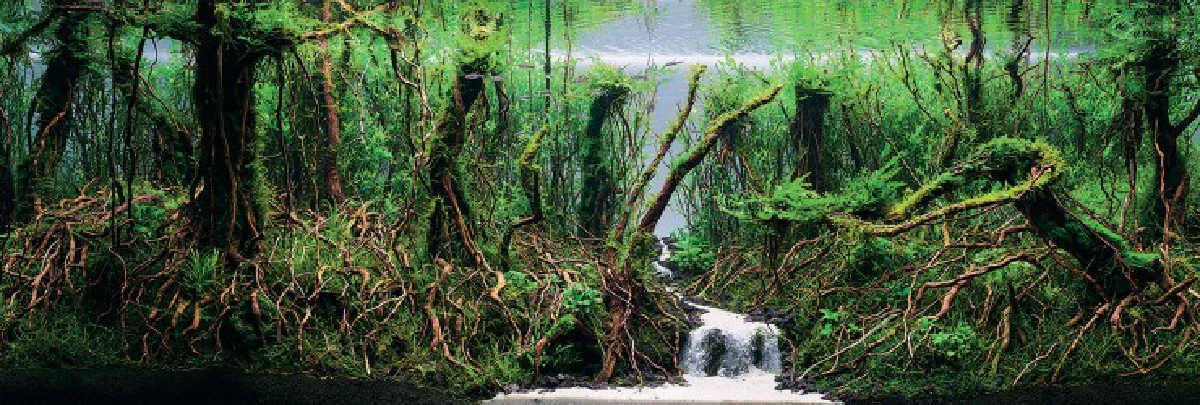 สุดอลังการ!ชมภาพประกวดตู้ปลาชิงแชมป์โลก2015