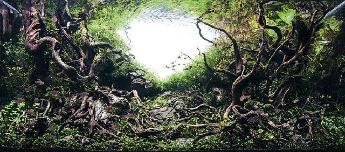 สุดอลังการ!ชมภาพประกวดตู้ปลาชิงแชมป์โลก2015