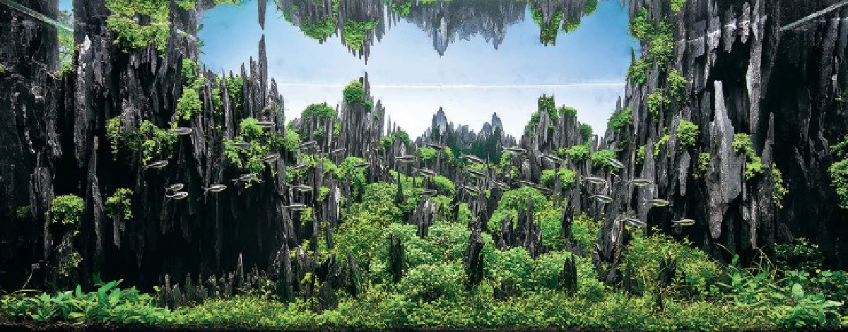 สุดอลังการ!ชมภาพประกวดตู้ปลาชิงแชมป์โลก2015