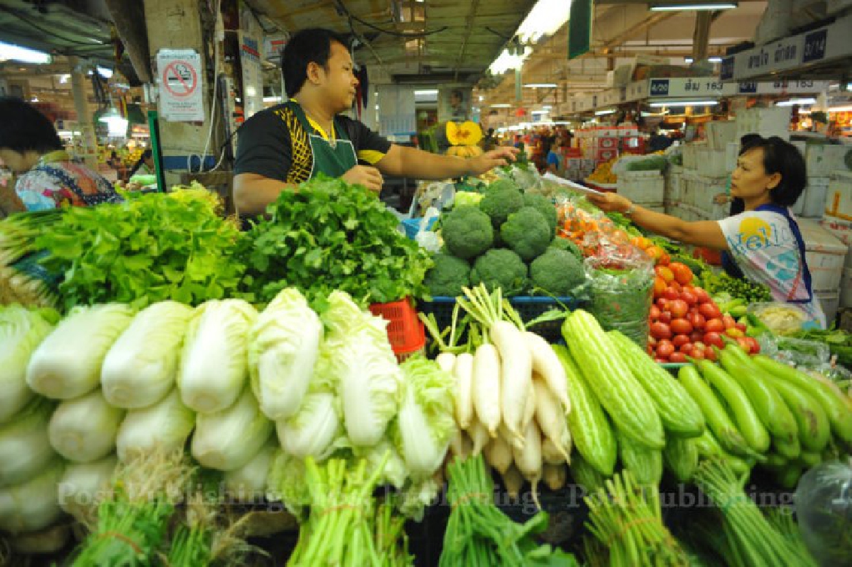 ผักพาเหรดขึ้นราคา รับกินเจเจอภัยแล้ง ผักพาเหรดขึ้นราคา รับกินเจเจอภัยแล้ง