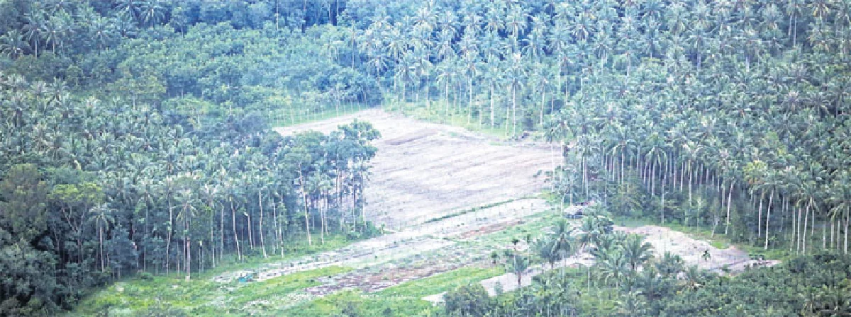 ปัตตานี โชคดีที่ได้ไป