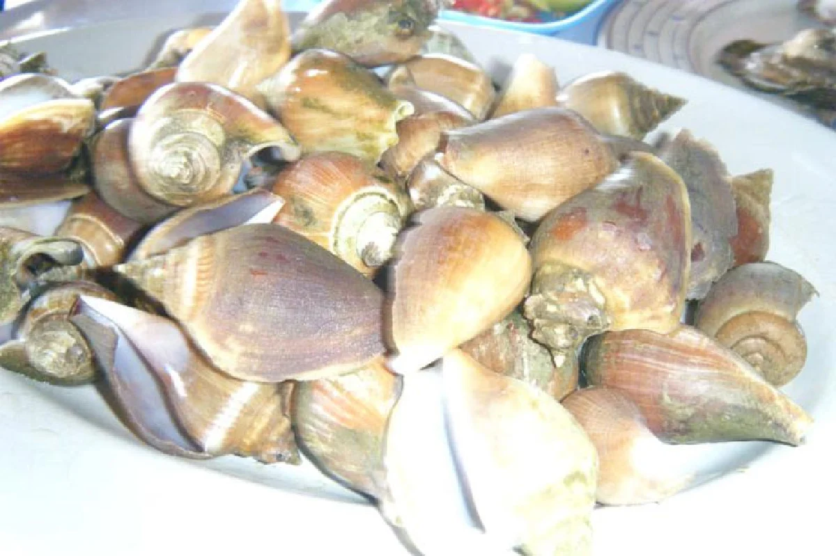หอยชักตีน-หอยนางรม ยุทธจักรความอร่อยเมืองตรัง