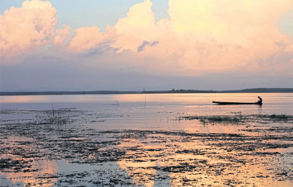 บึงกาฬสแปลช!