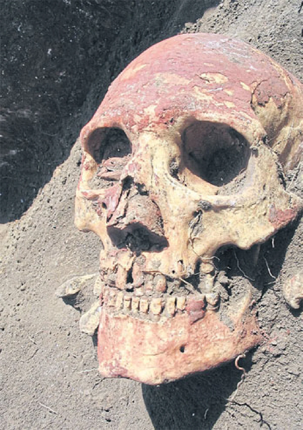 เทคโนเวิล์ด