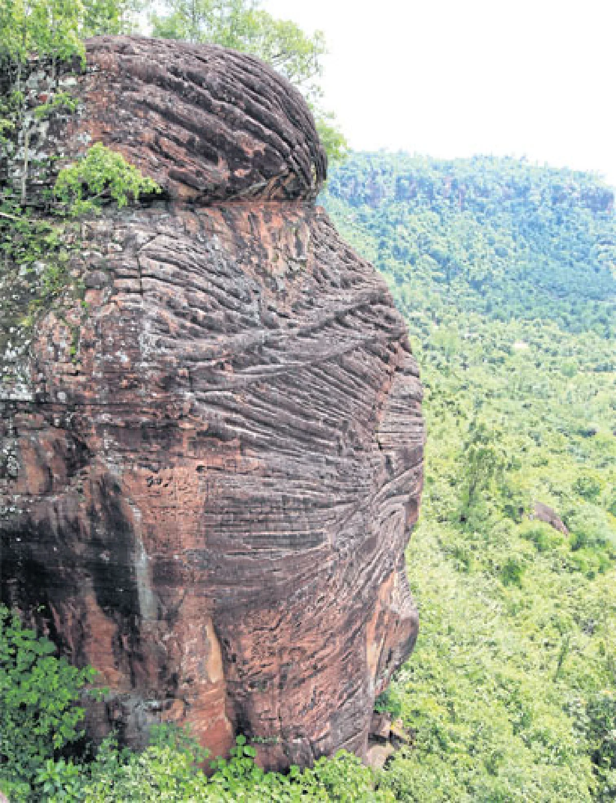 ขี่วาฬ จับรถไฟ หาหัวใจภูสิงห์