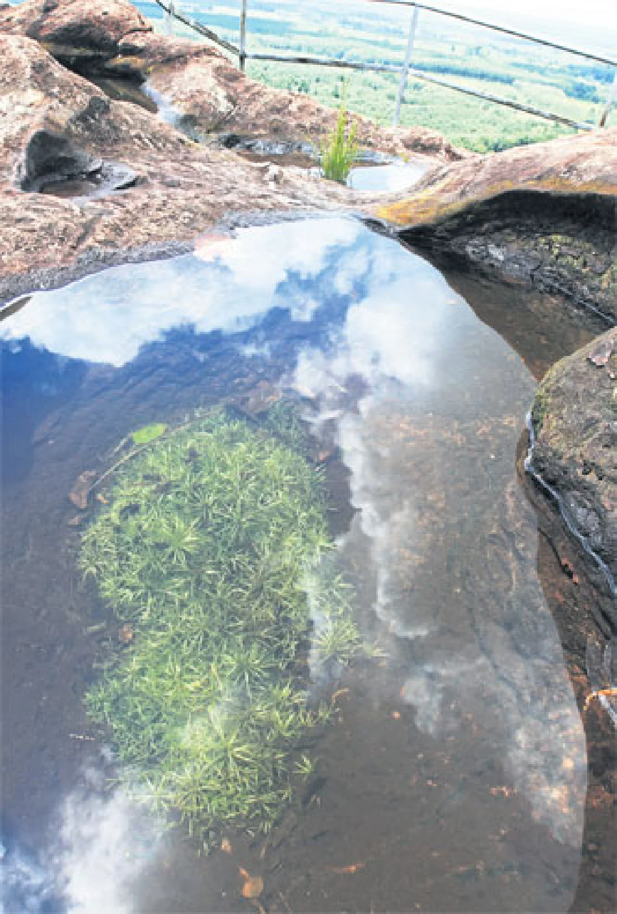 ขี่วาฬ จับรถไฟ หาหัวใจภูสิงห์