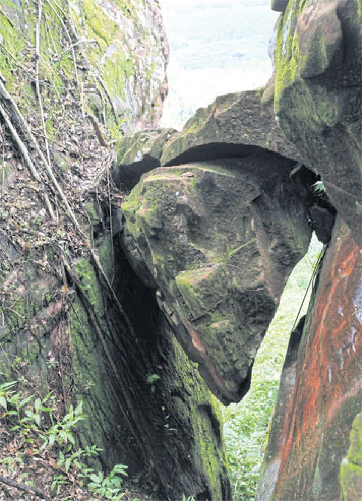 ขี่วาฬ จับรถไฟ หาหัวใจภูสิงห์