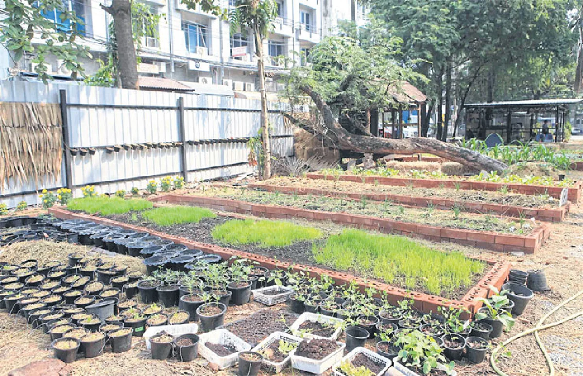 ปลูกสวน ในบ้านง่ายๆ...