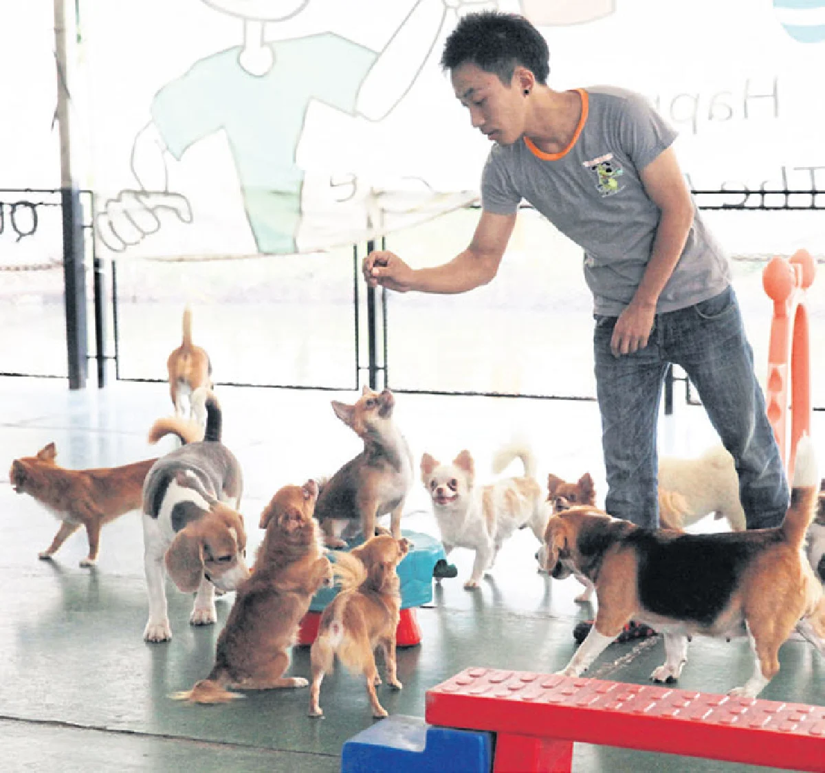 เดอะ เพ็ท แคร์ โรงเรียนจอมป่วน