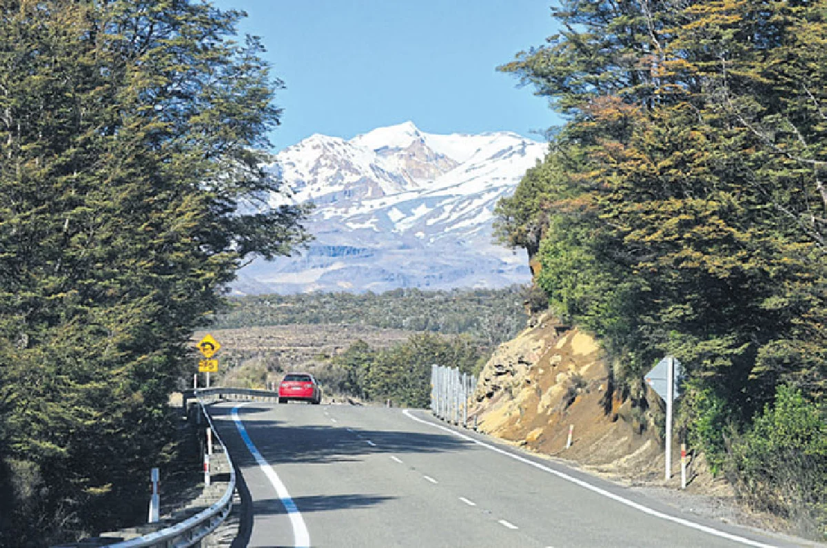 หัวใจเต้นถี่ที่ เกาะใต้นิวซีแลนด์