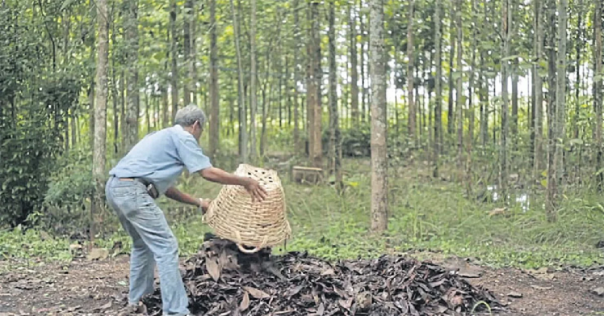 ดร.เกริก มีมุ่งกิจ เกษตรกรสวนป่าครูสอนคนกล้าคืนถิ่น