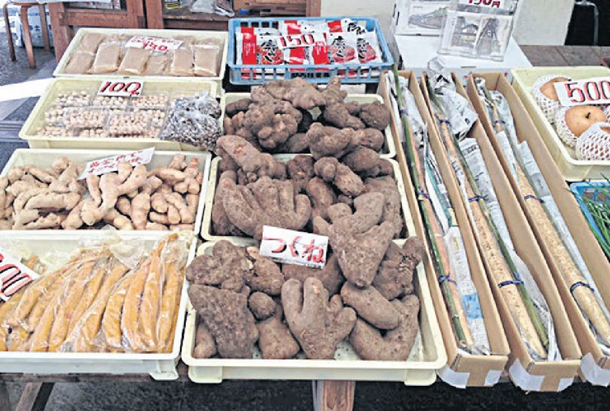 Omotenashi Shikoku 15