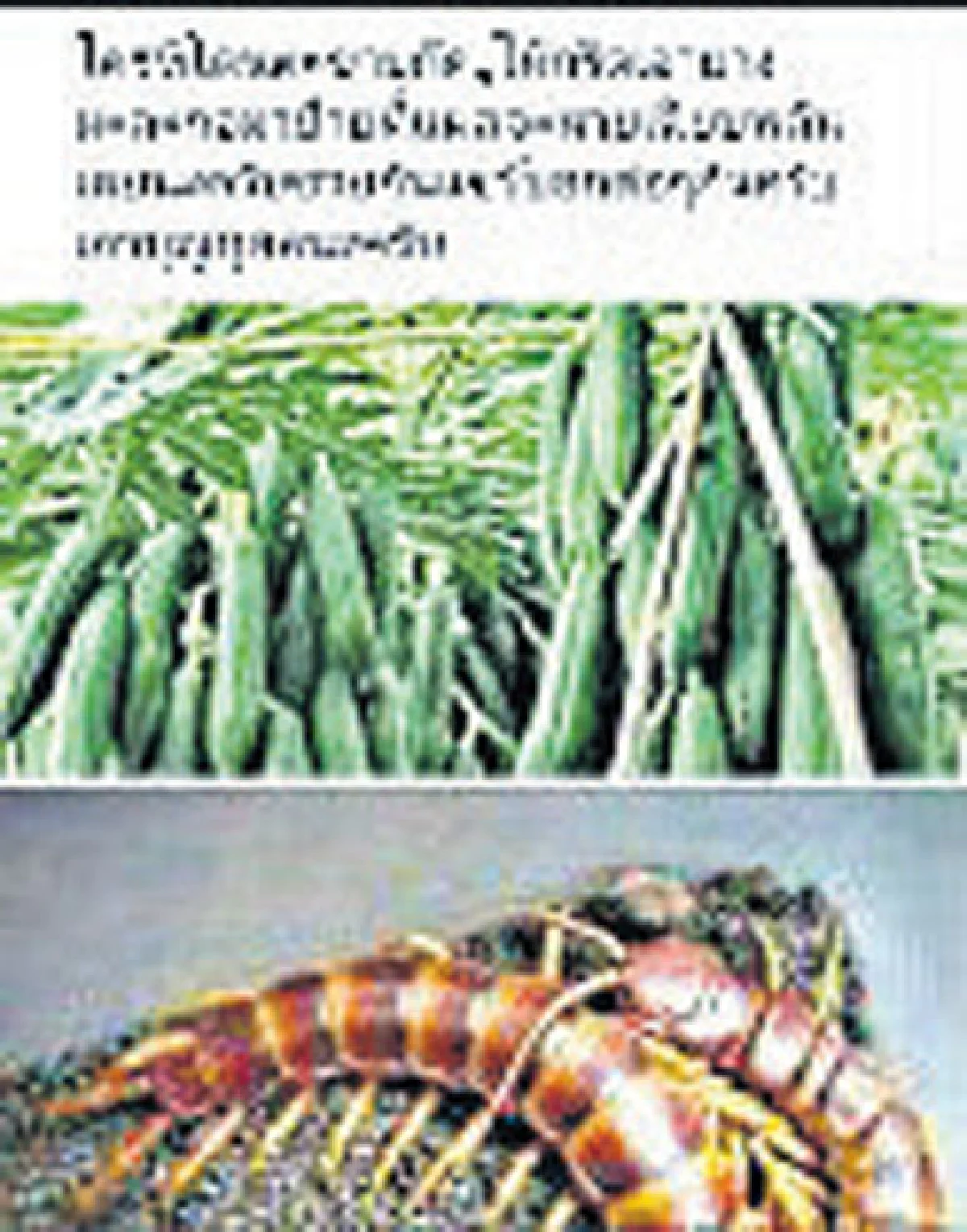 7 วันคุณแชร์เราเช็ก