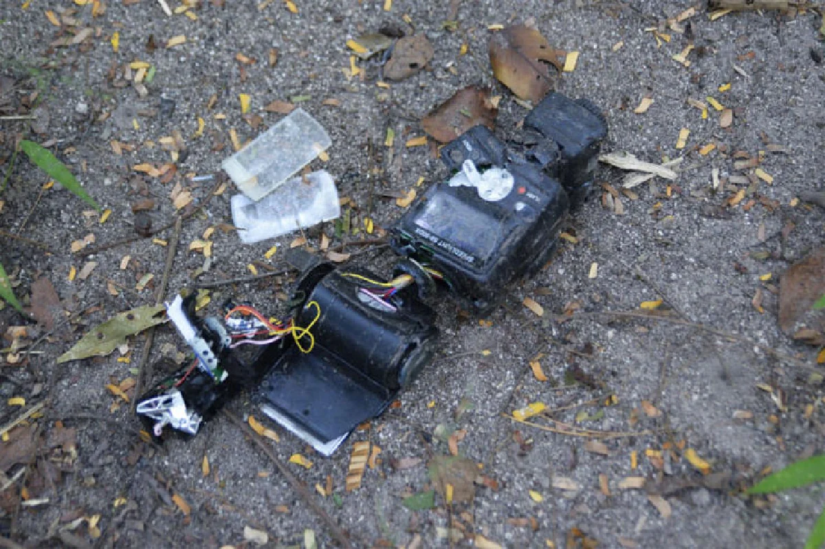 ฝ่าดงตีน (ช้าง)