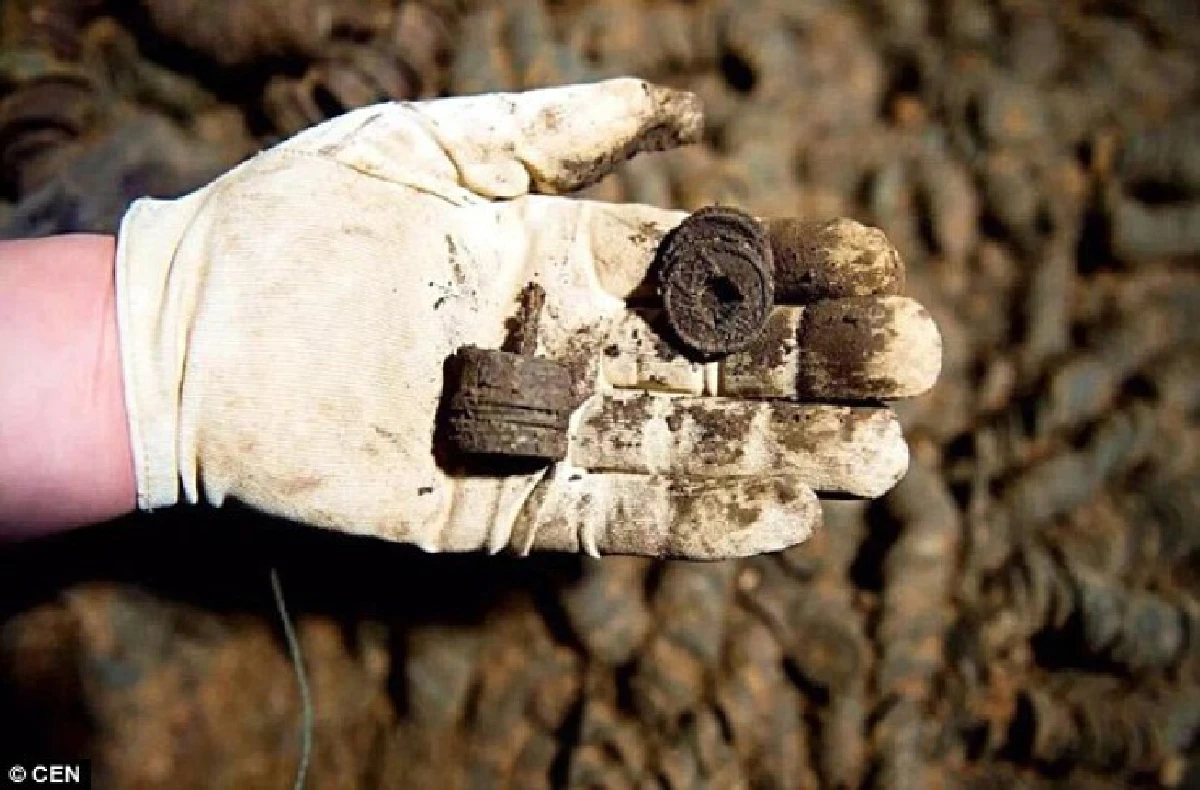 ทึ่ง!จีนพบสุสานสองพันปี มีเหรียญโบราณนับ10ตัน