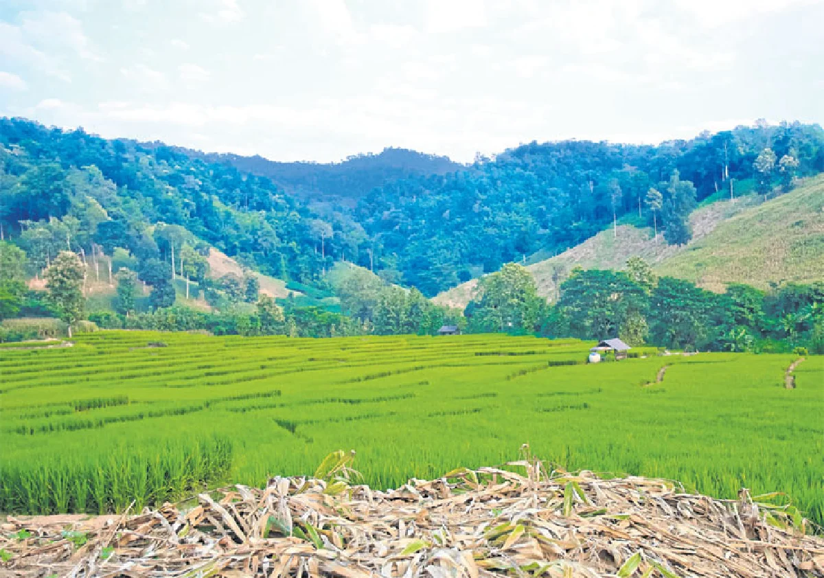 ดอยหนอก เสียว ชัน สวย