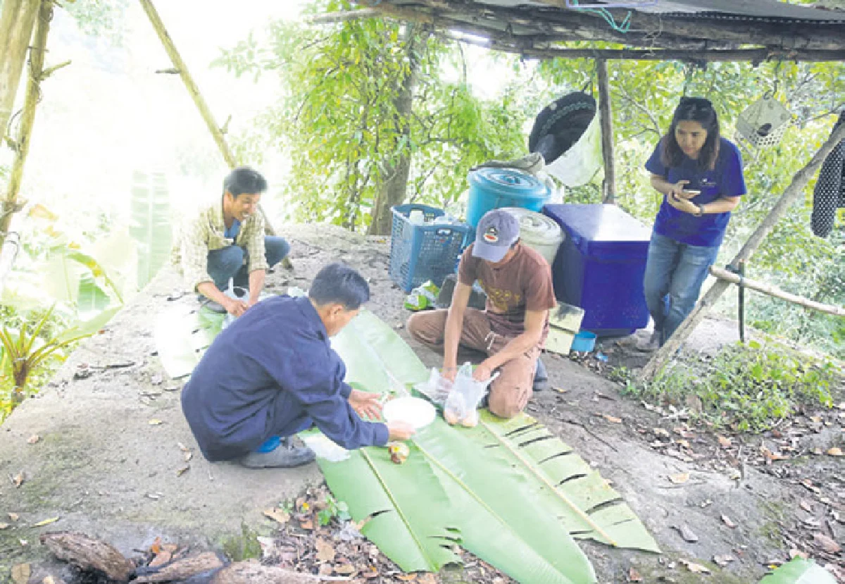 ดอยหนอก เสียว ชัน สวย