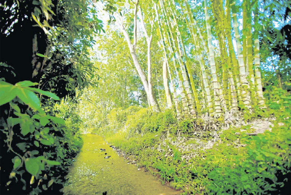 ดอยหนอก เสียว ชัน สวย