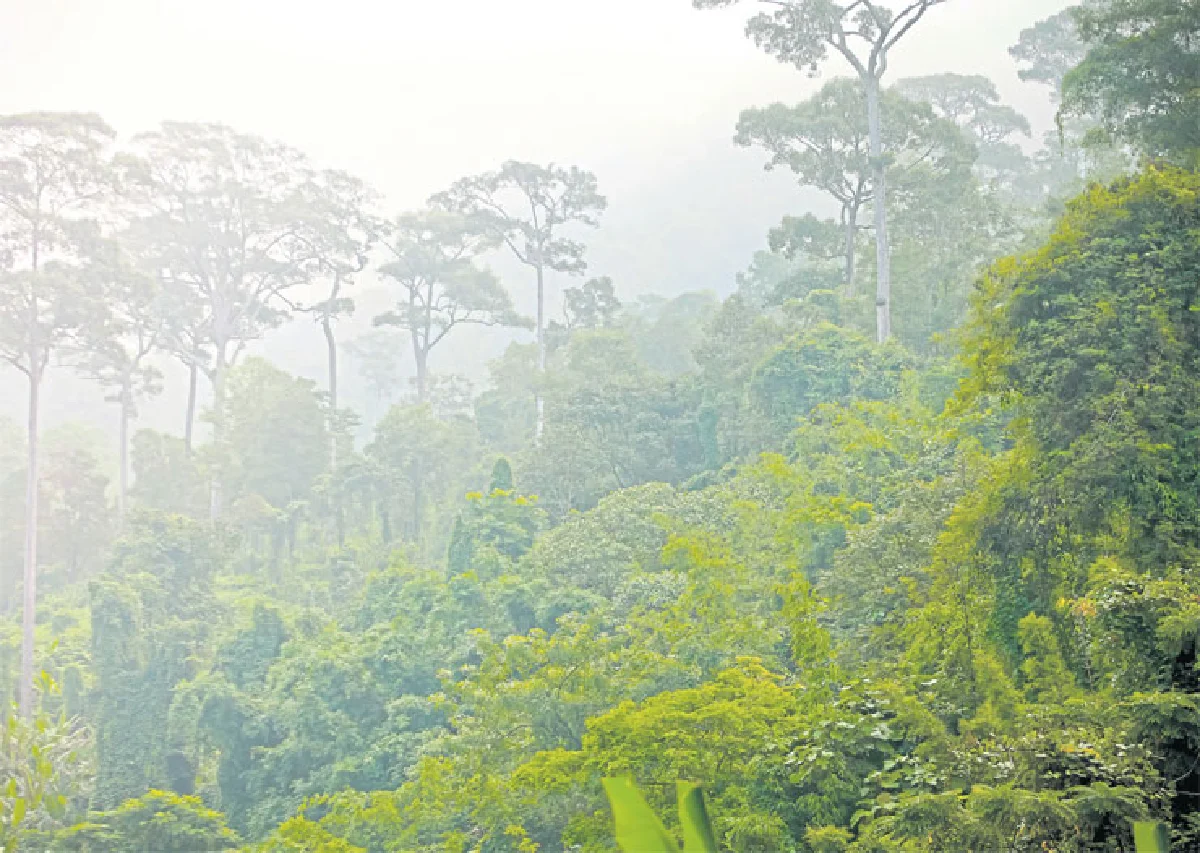 ดอยหนอก เสียว ชัน สวย