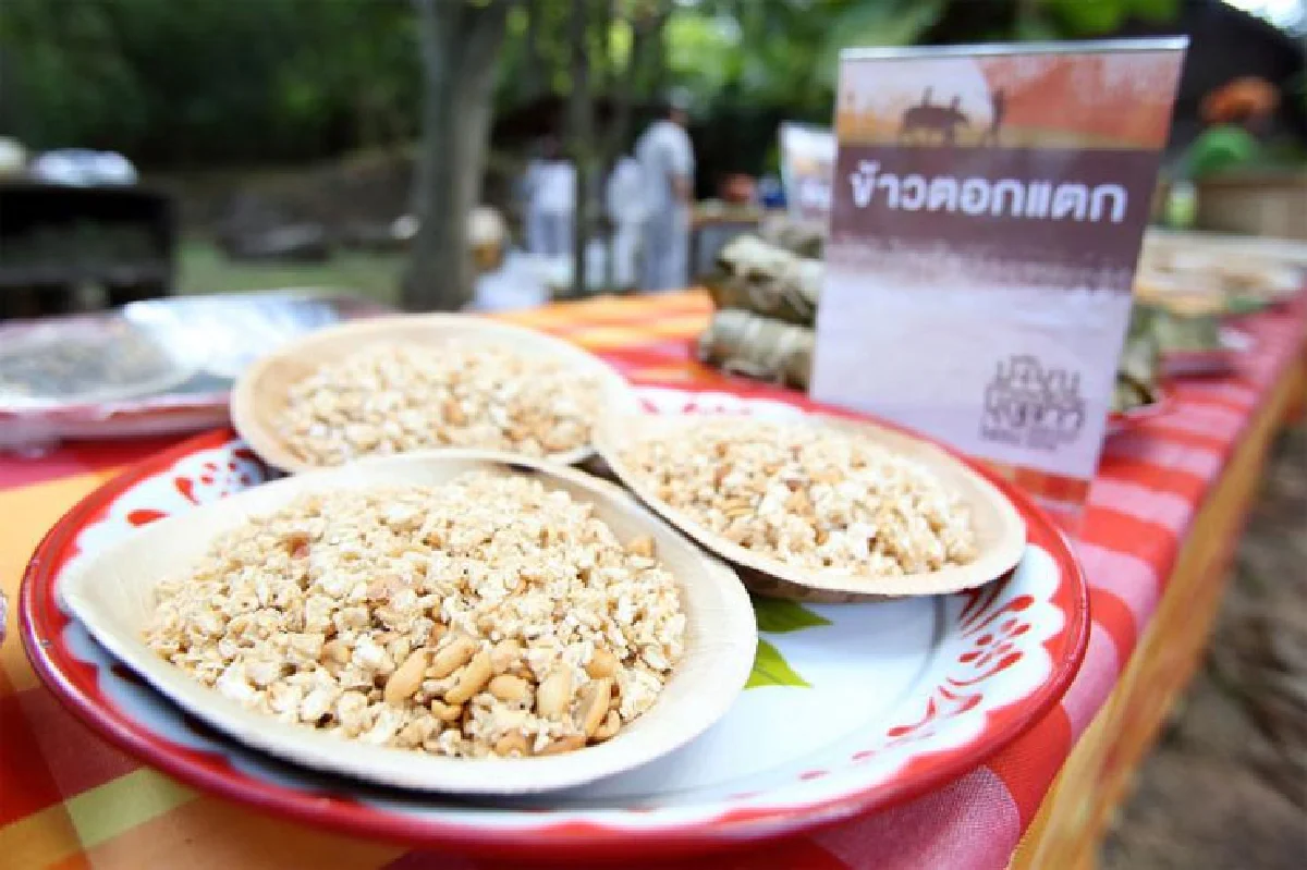 มรดกข้าว ชาวอีสาน