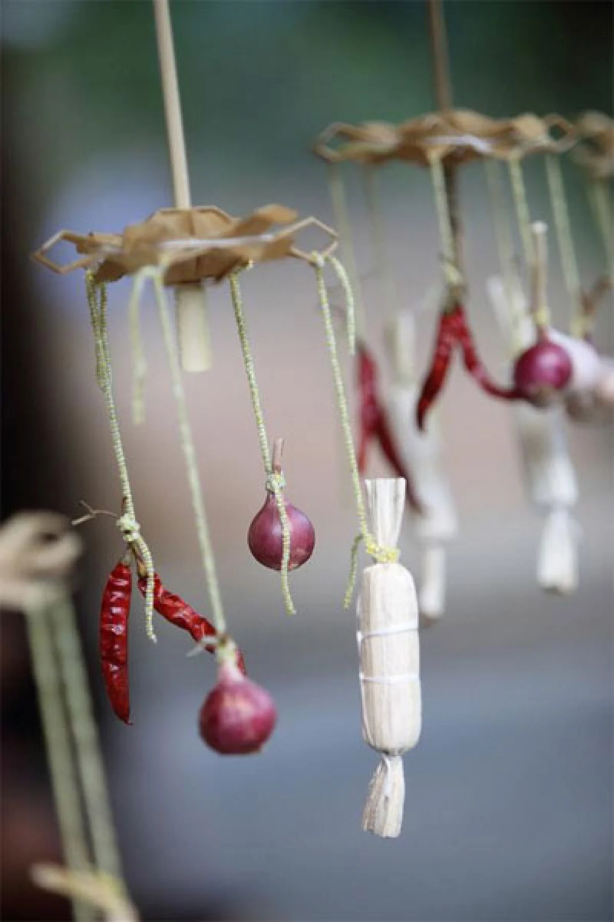 มรดกข้าว ชาวอีสาน