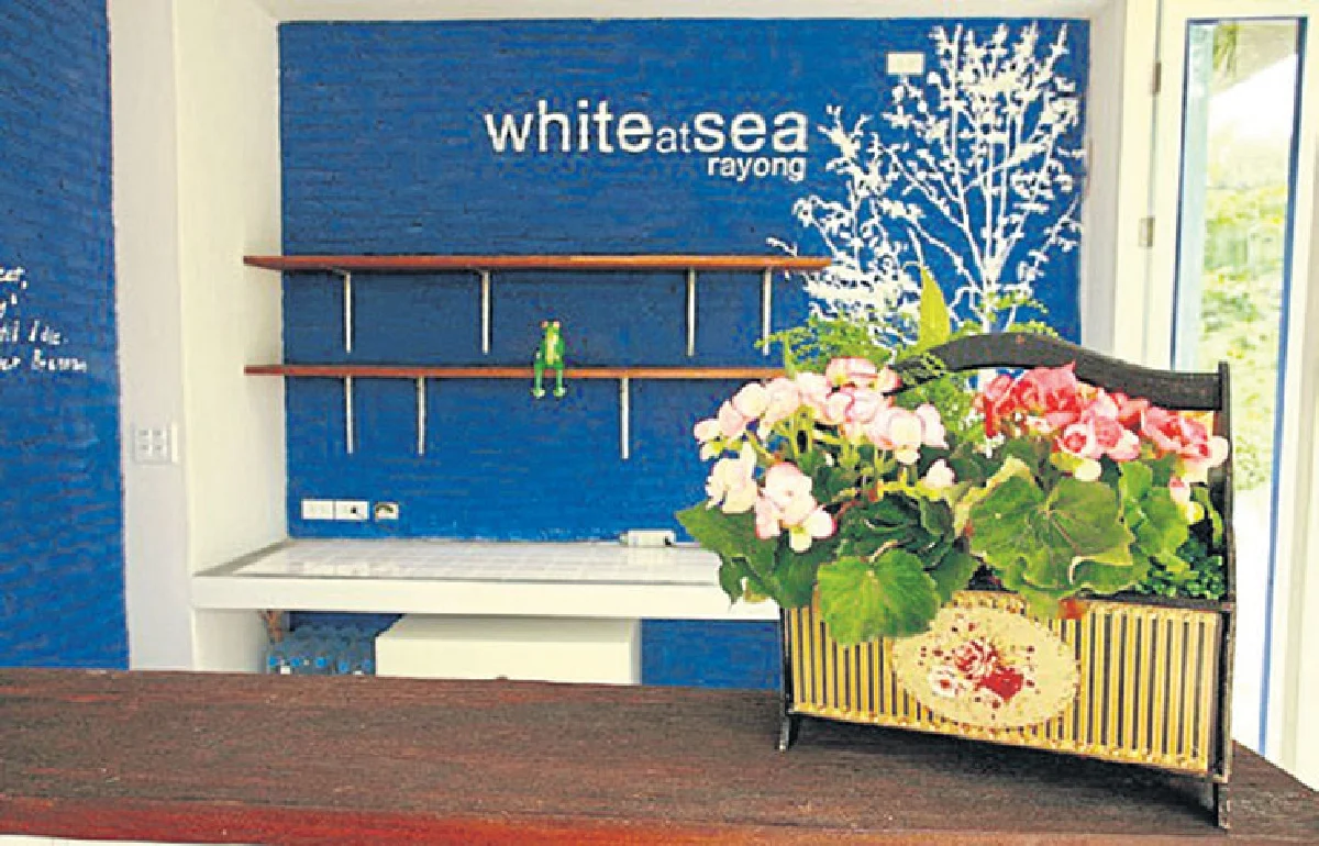 พาน้องหมาไปเริงร่า ที่ White at Sea หาดแม่รำพึง