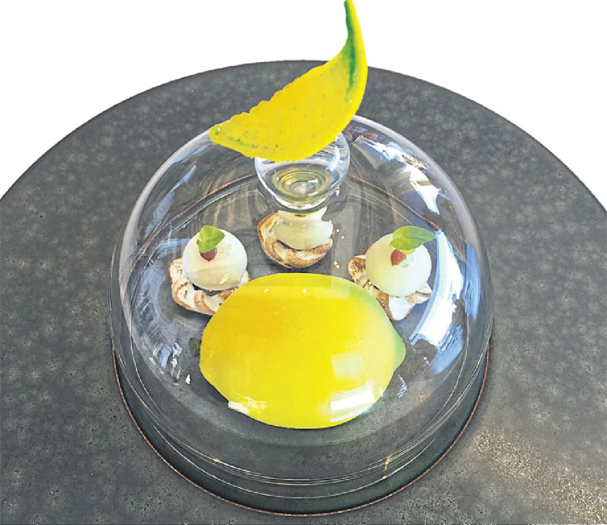 เดิน ชม ชิมอินโมนาโก