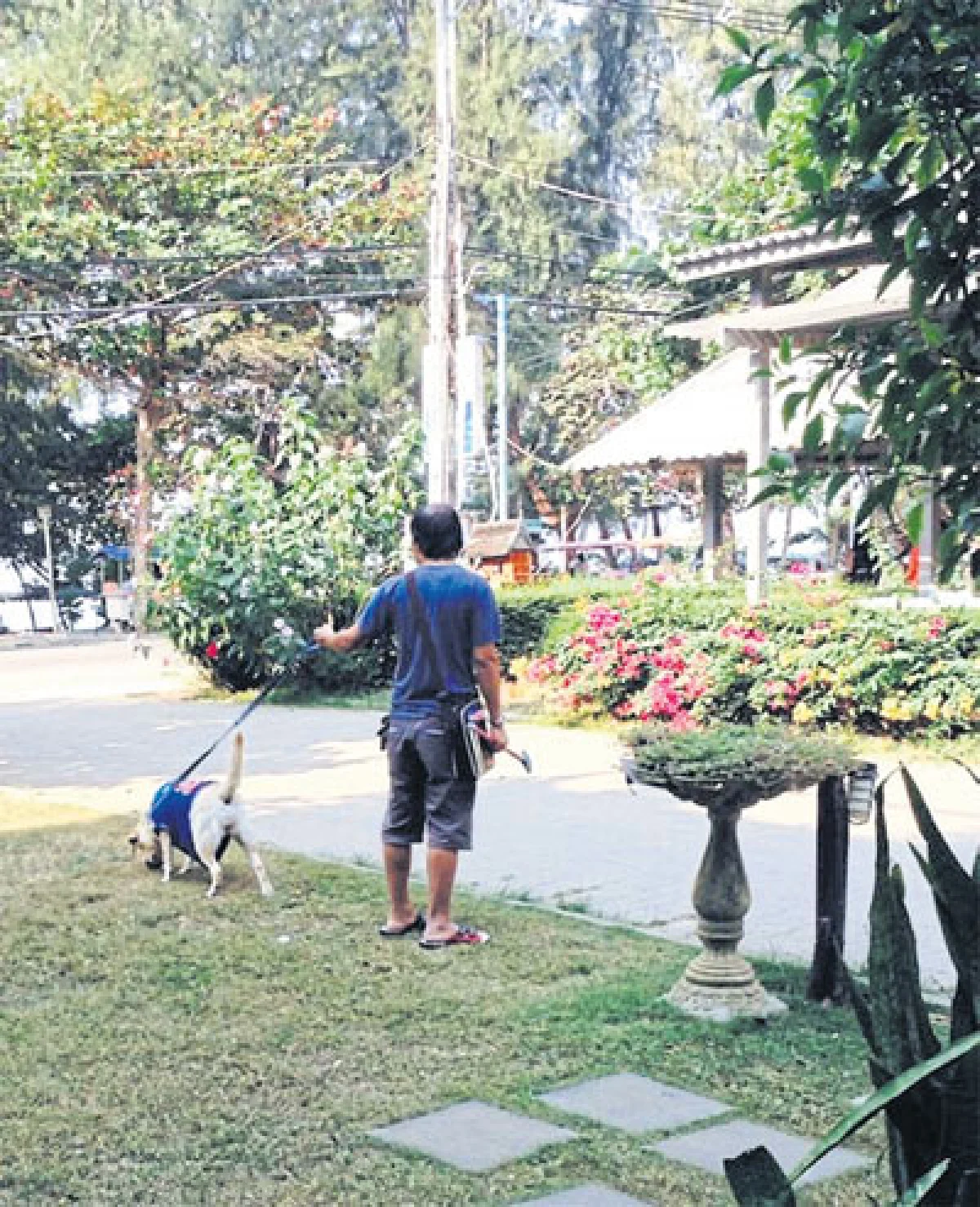 พาน้องหมาไปเริงร่า ที่ White at Sea หาดแม่รำพึง