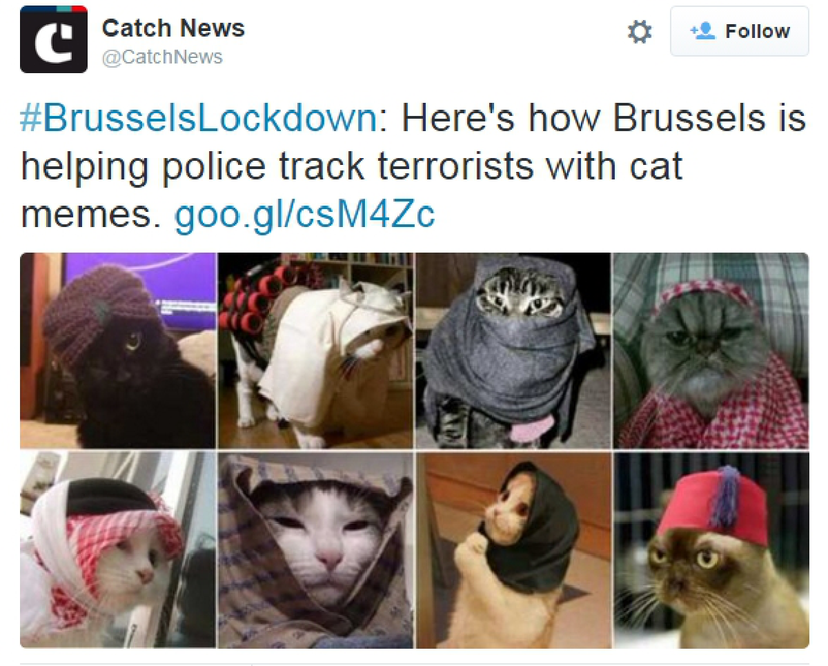 Cat photos greet police request for social media silence