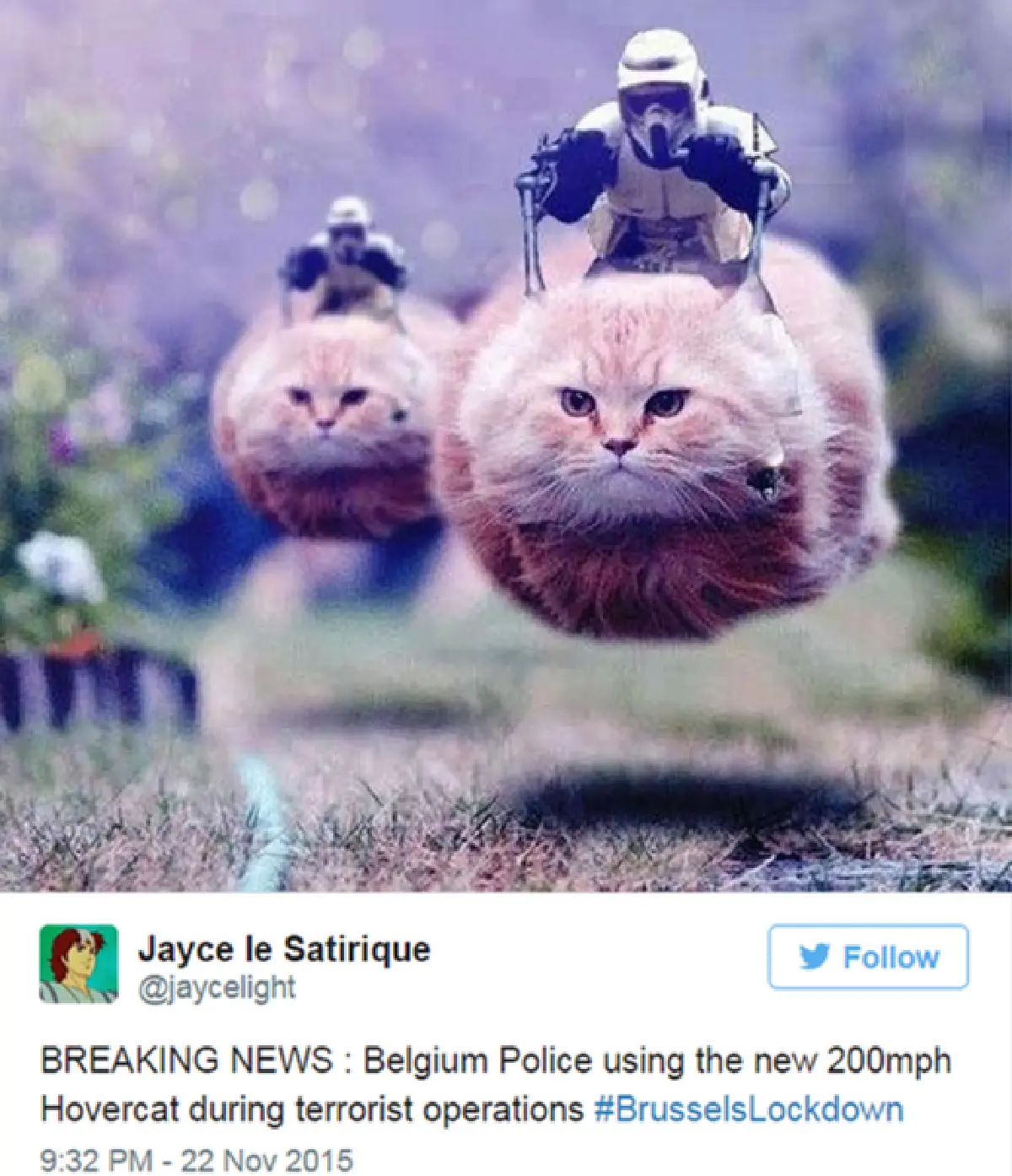 Cat photos greet police request for social media silence