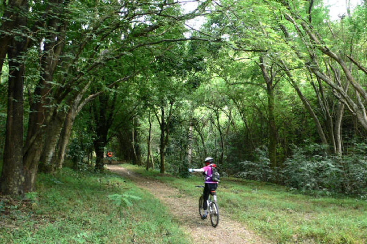 สัจธรรมกับการปั่นจักรยาน