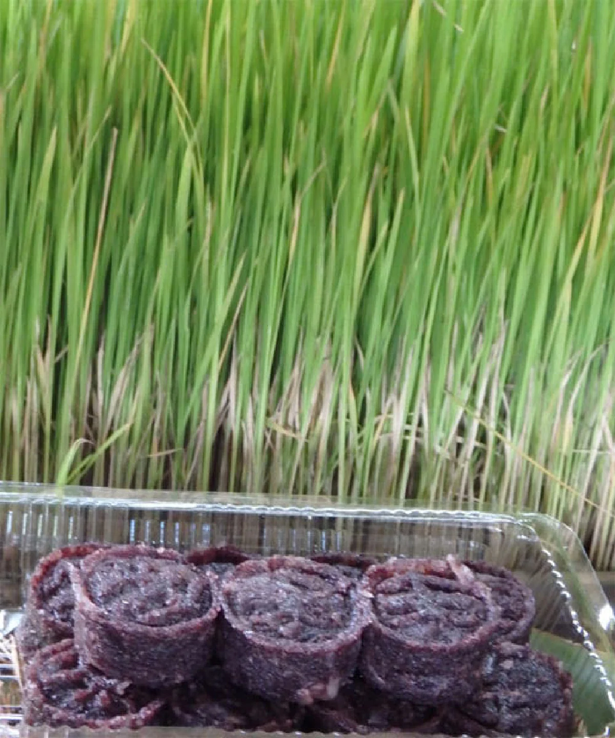 ปั่นไป...(กิน)คลีนไป ที่สามพราน