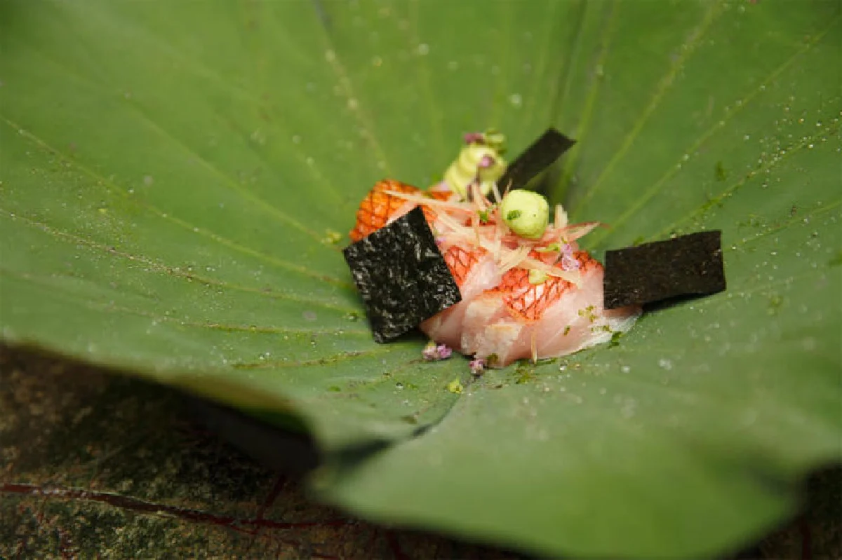 ทุกเมนูบ่งบอกถึงตัวตน ฟาติห์ ทูทัค