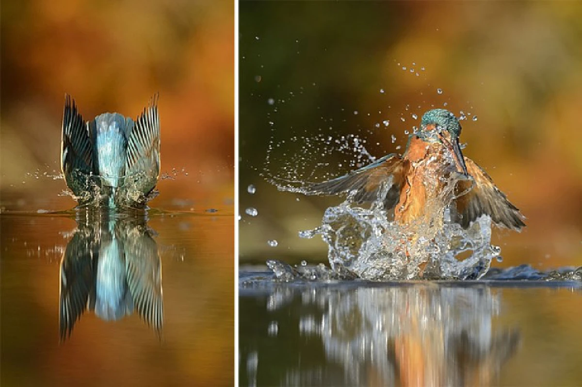สุดยอด!ช่างภาพหนุ่มทุ่ม6ปี ถ่ายภาพเดียวให้เป๊ะจนสำเร็จ!