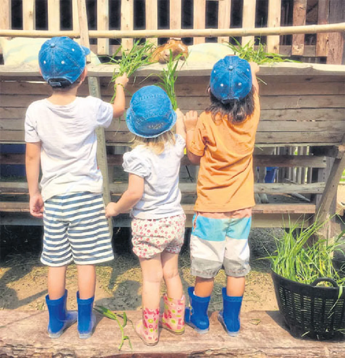 ไปเรียนรู้จากธรรมชาติที่ ฟาร์ม เดอ เล็ค