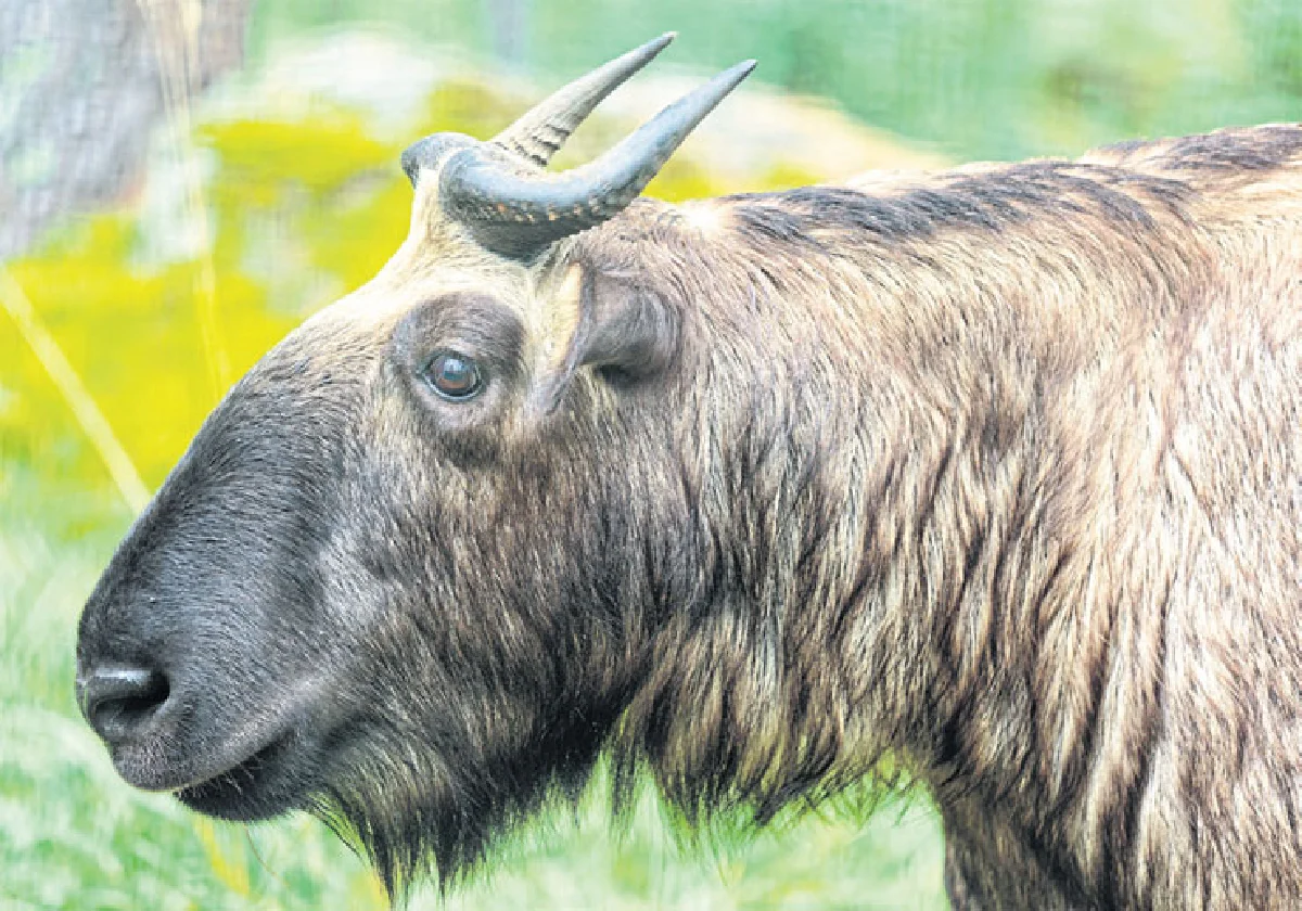 พบความสุขทุกนาที...ที่ ‘ภูฏาน’