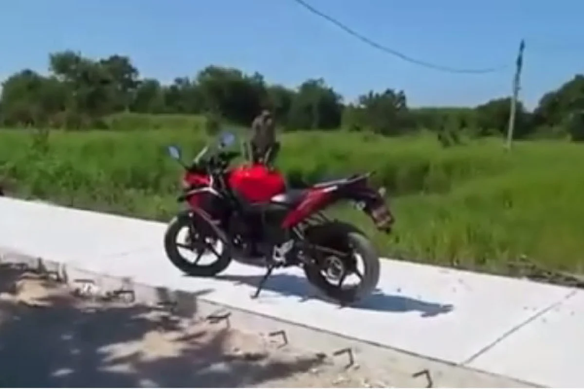 คลิปสุดฮา! คนกับลิงฟัดกันนัว