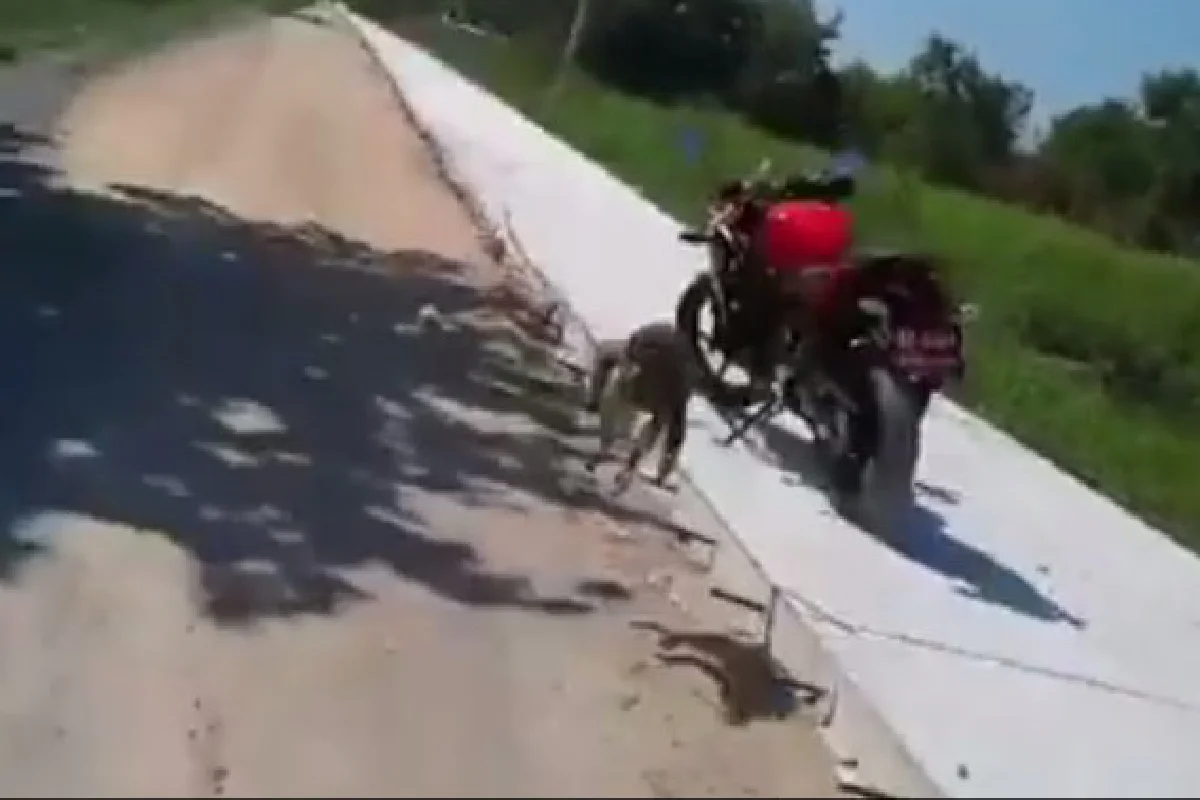 คลิปสุดฮา! คนกับลิงฟัดกันนัว