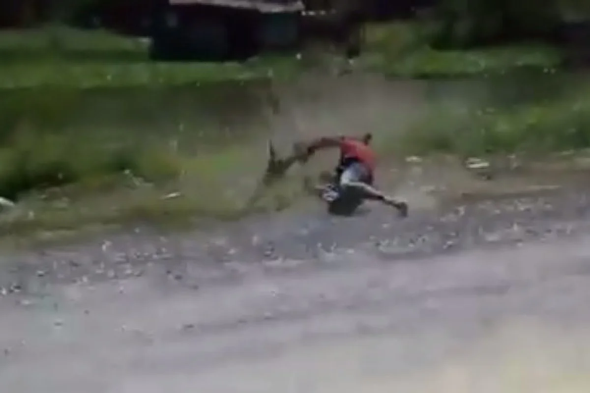 คลิปสุดฮา! คนกับลิงฟัดกันนัว