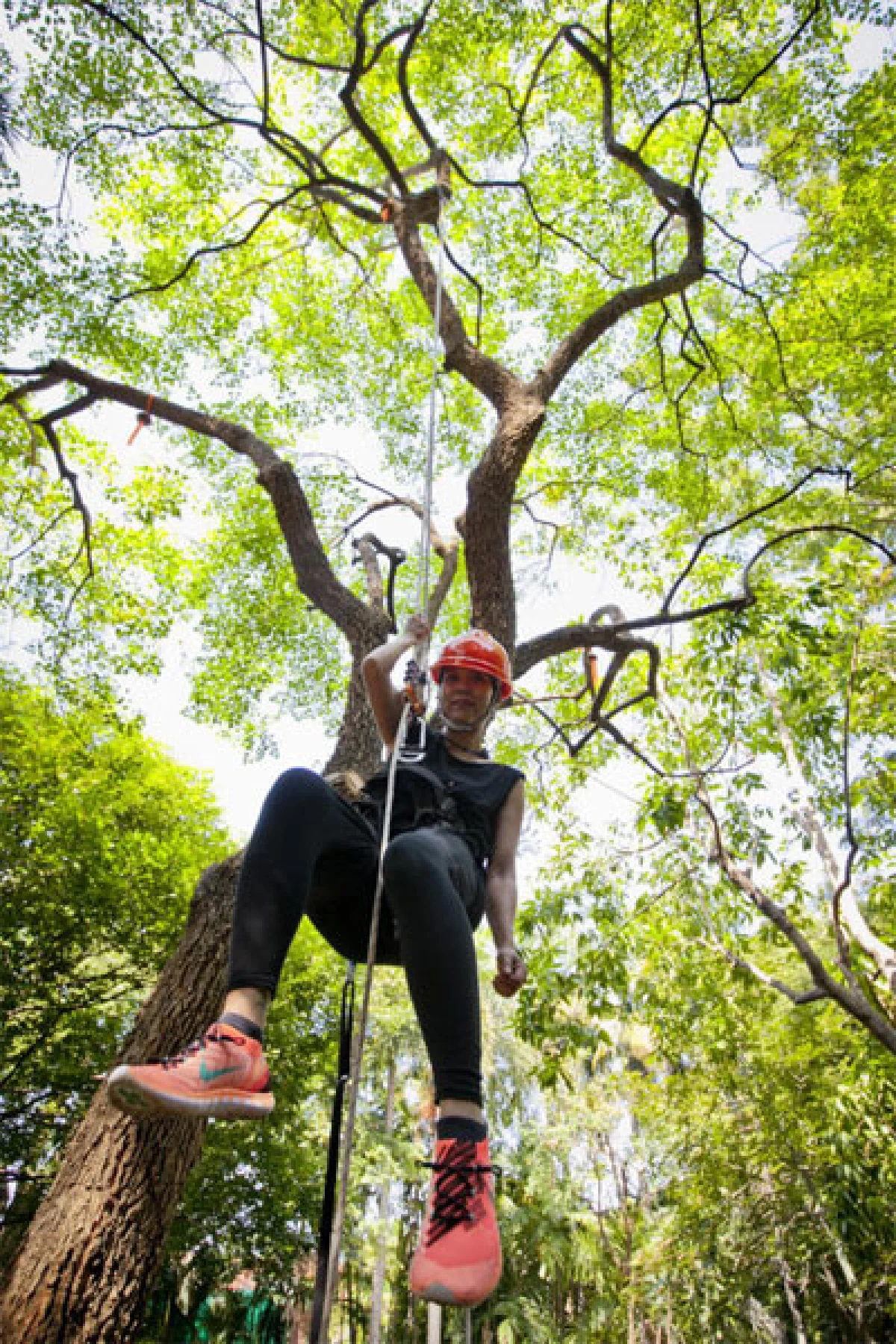 อนันตา อินทรอักษร หลงใหลลมหายใจของต้นไม้