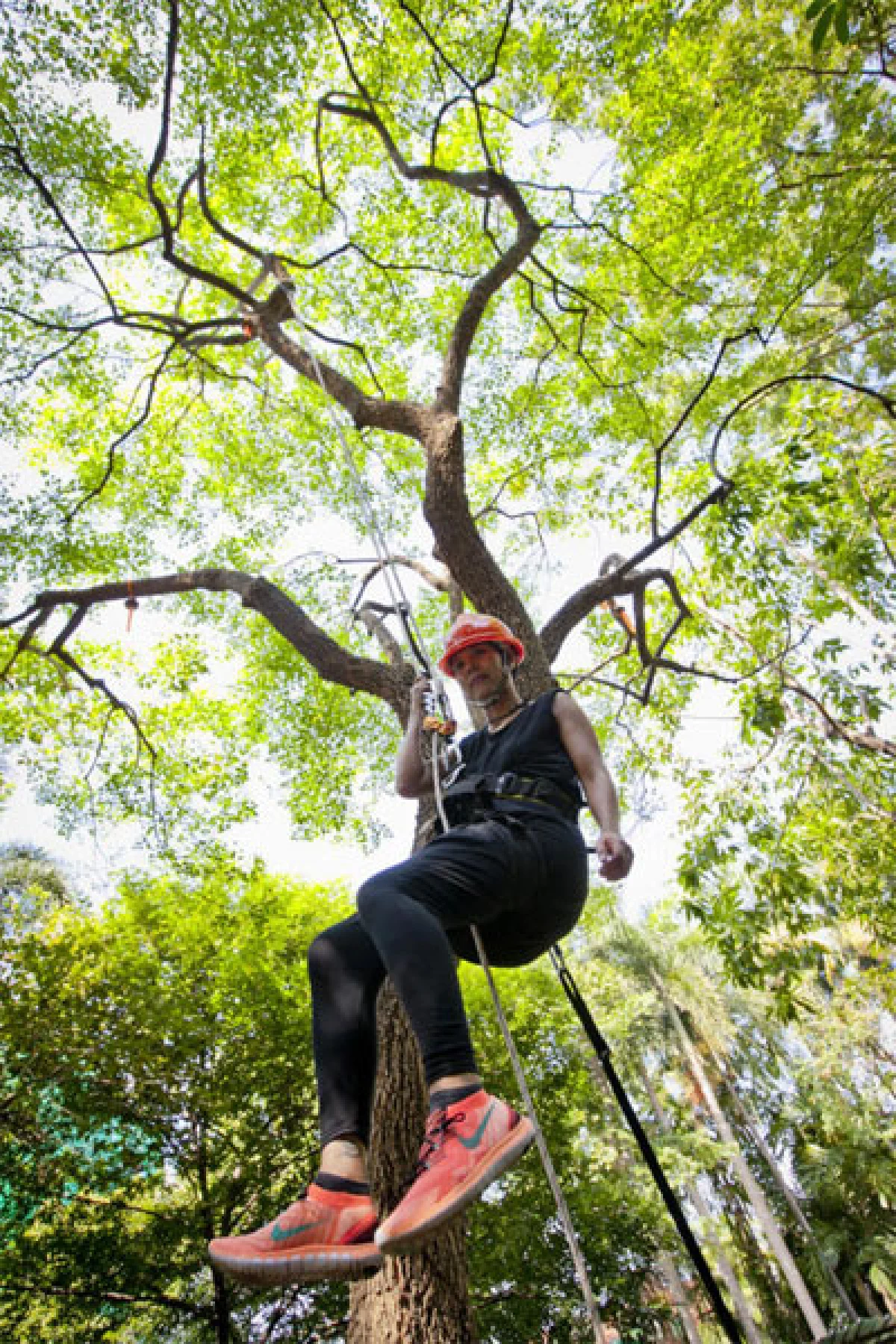 อนันตา อินทรอักษร หลงใหลลมหายใจของต้นไม้