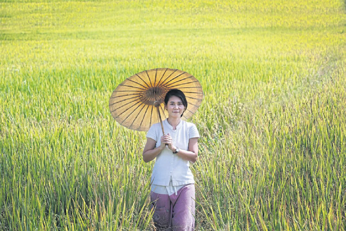 แม่แจ่ม... วิถีแห่งท้องนากลางหุบเขา